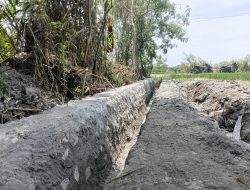“Sangat Membantu Kami!” Syukur Petani Desa Baru Deli Serdang Terima Program Irigasi P3-TGAI